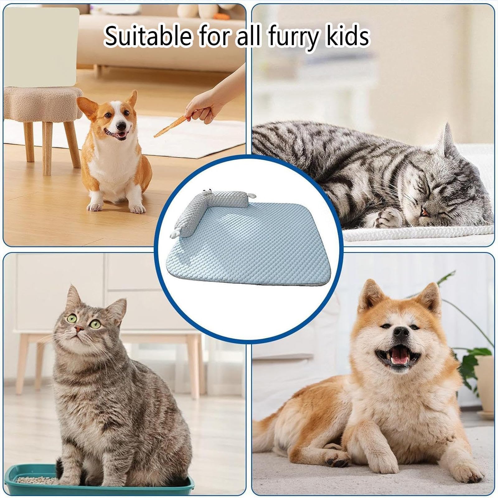 Cuccia Cane Estiva Sfoderabile E Lavabile, Letto per Cani con Lati Rialzati Tappetino Refrigerante per Gatto per L'Estate per Il Raffreddamento degli Animali,Blue-XL