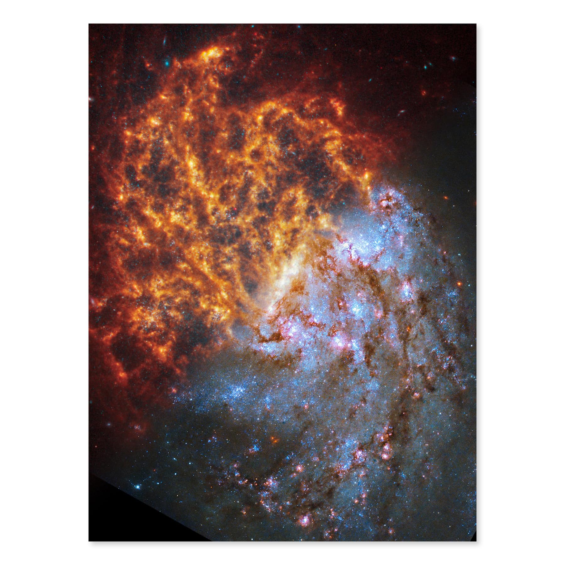 Artery8 NASA Hubble James Webb Telescope Spiral Galaxy NGC 1087 Wall Art Print W18" x H24"