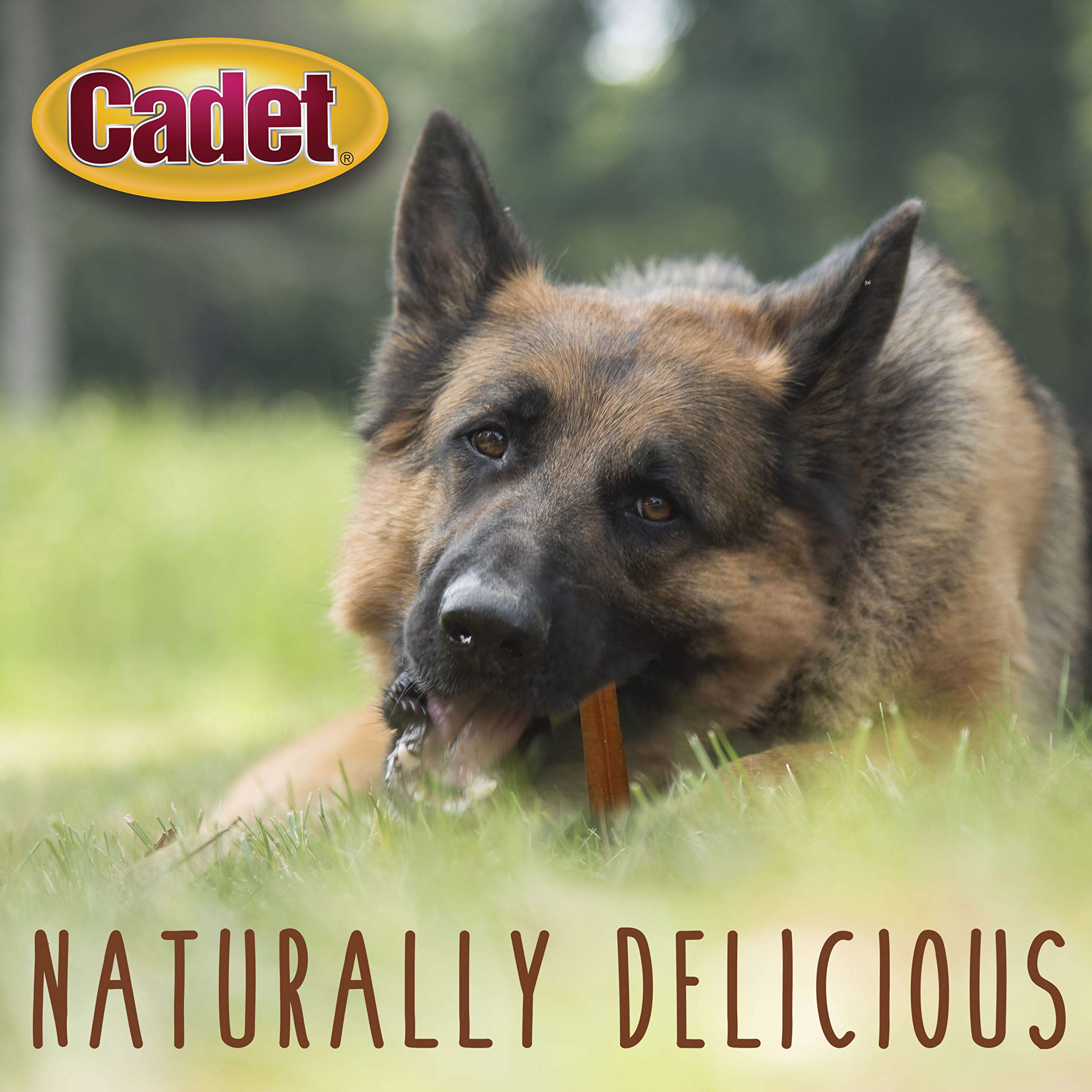 Cadet Bully Sticks Dog Treats Promotes Dental Health AllNatural