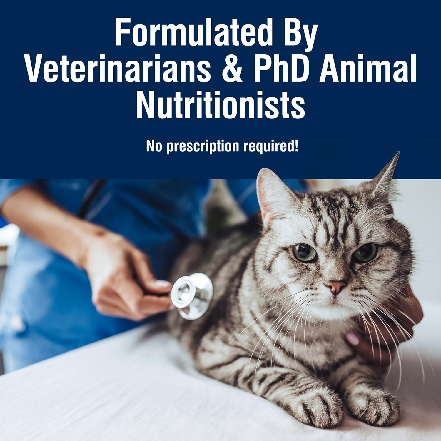 Blue Buffalo True Solutions Total Support Wet Cat Food for Adult Cats, Made with Natural Ingredients, Chicken, 3-oz. Cans (24 Count)