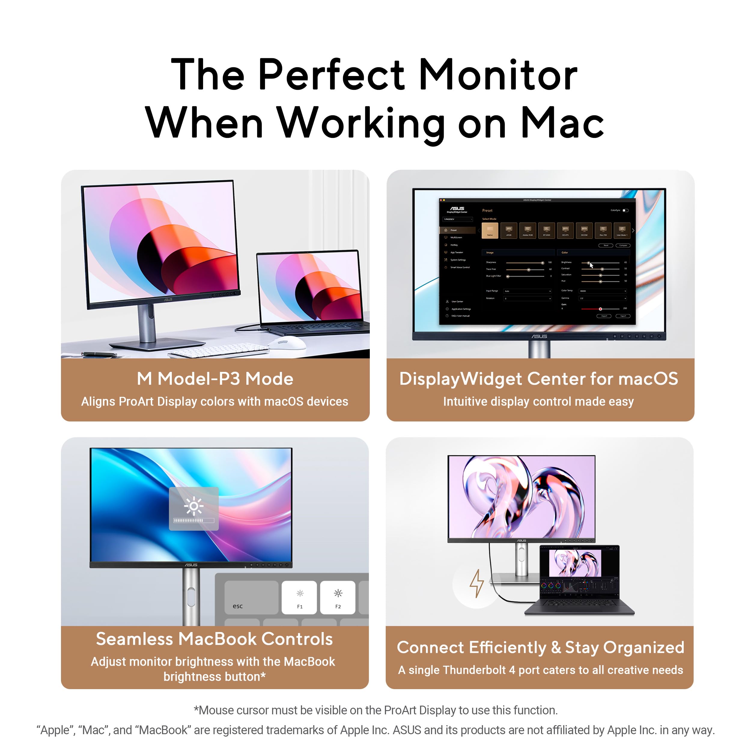 https://m.media-amazon.com/images/I/81wWM+oxr9L.jpg