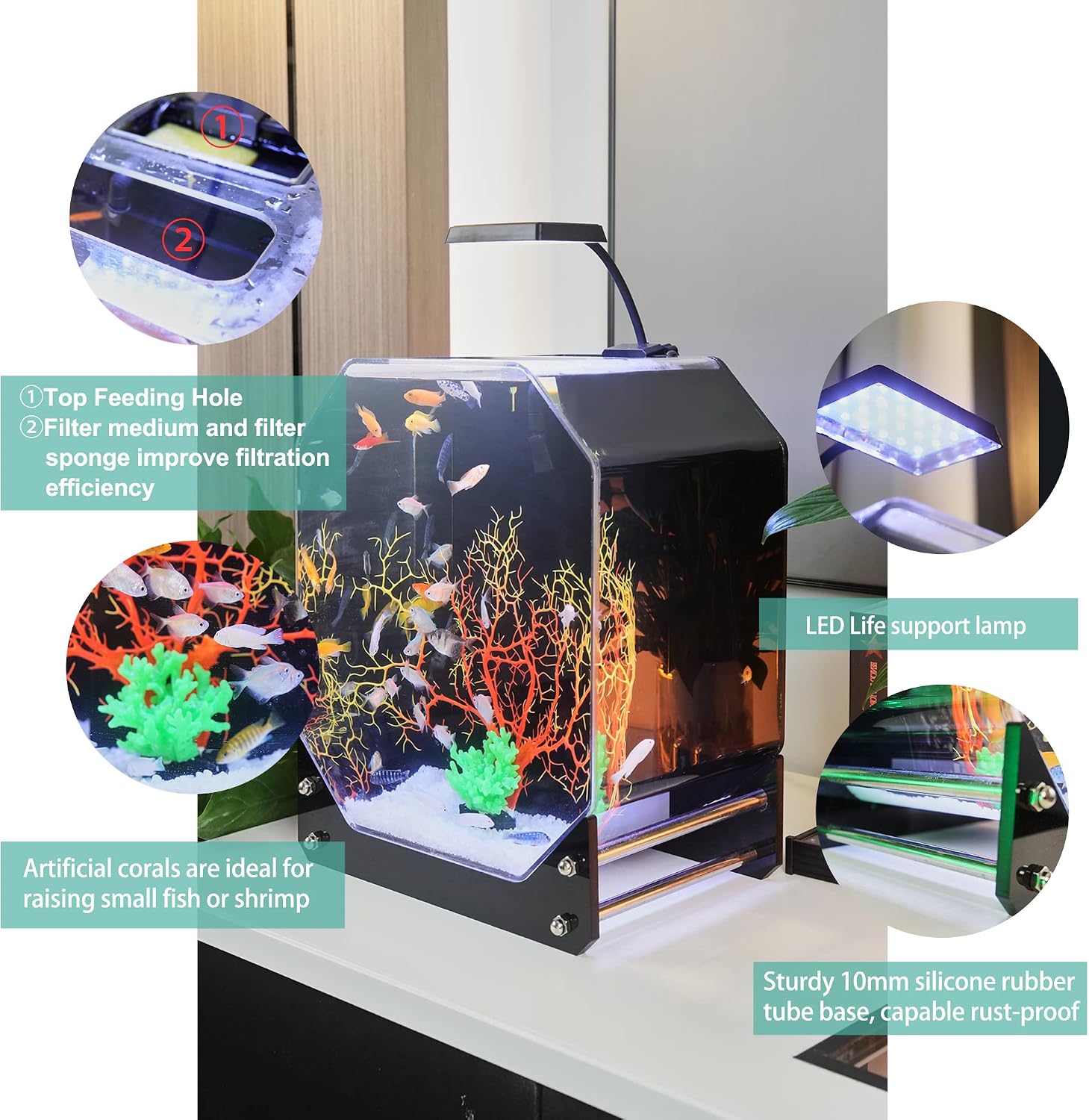 Acquario Da Tavolo Starter Kit Per Pesce Betta, 20x20x14 Cm, Con Luce LED Bianca/blu, Filtro A 3 Strati E Pompa Silenziosa Sotto I 30 DB
