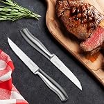 Couteaux de chasse, 4.5 pouces Steak Knife Ensemble de 6, Lave-vaisselle Couteau de steak en acier inoxydable haute teneur en carbone, argent