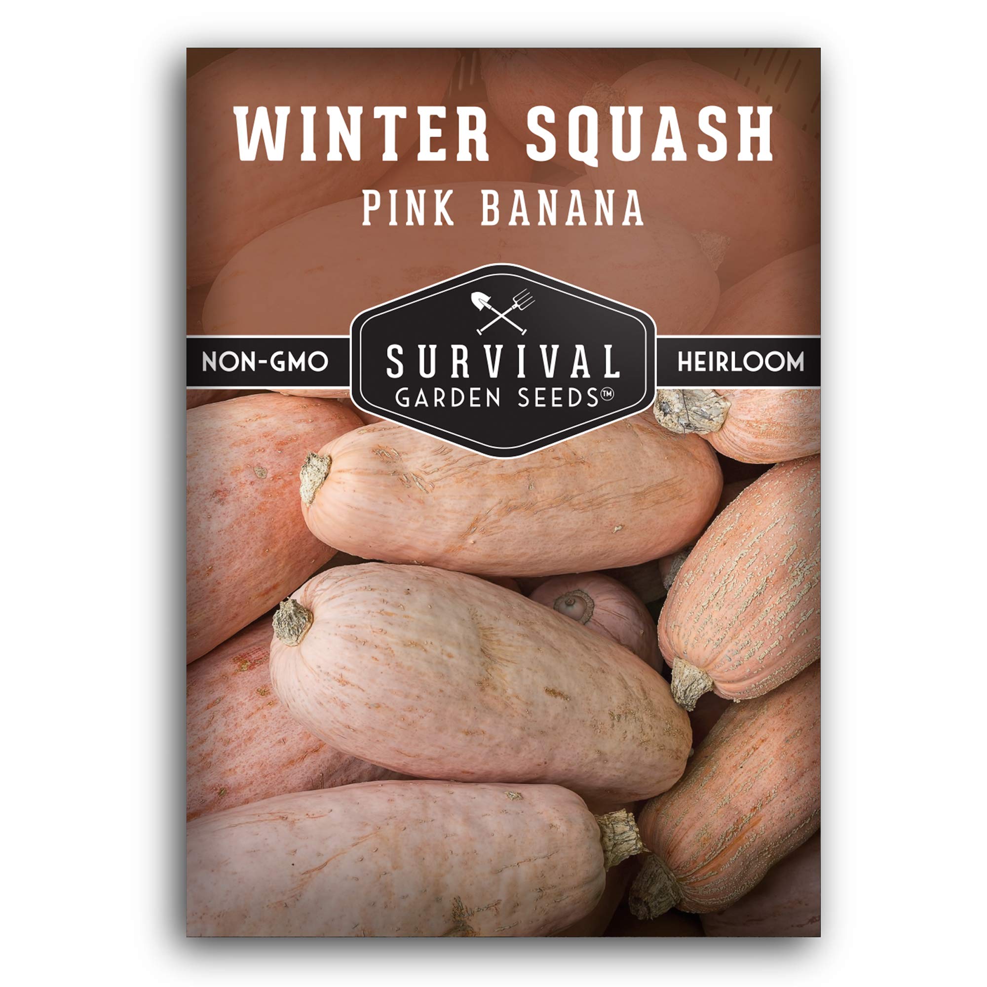 Survival Garden Seeds - Pink Banana Winter Squash Seed for Planting - Pack with Instructions to Plant and Grow Unique Winter Vegetables in Your Home Vegetable Garden - Non-GMO Heirloom Variety