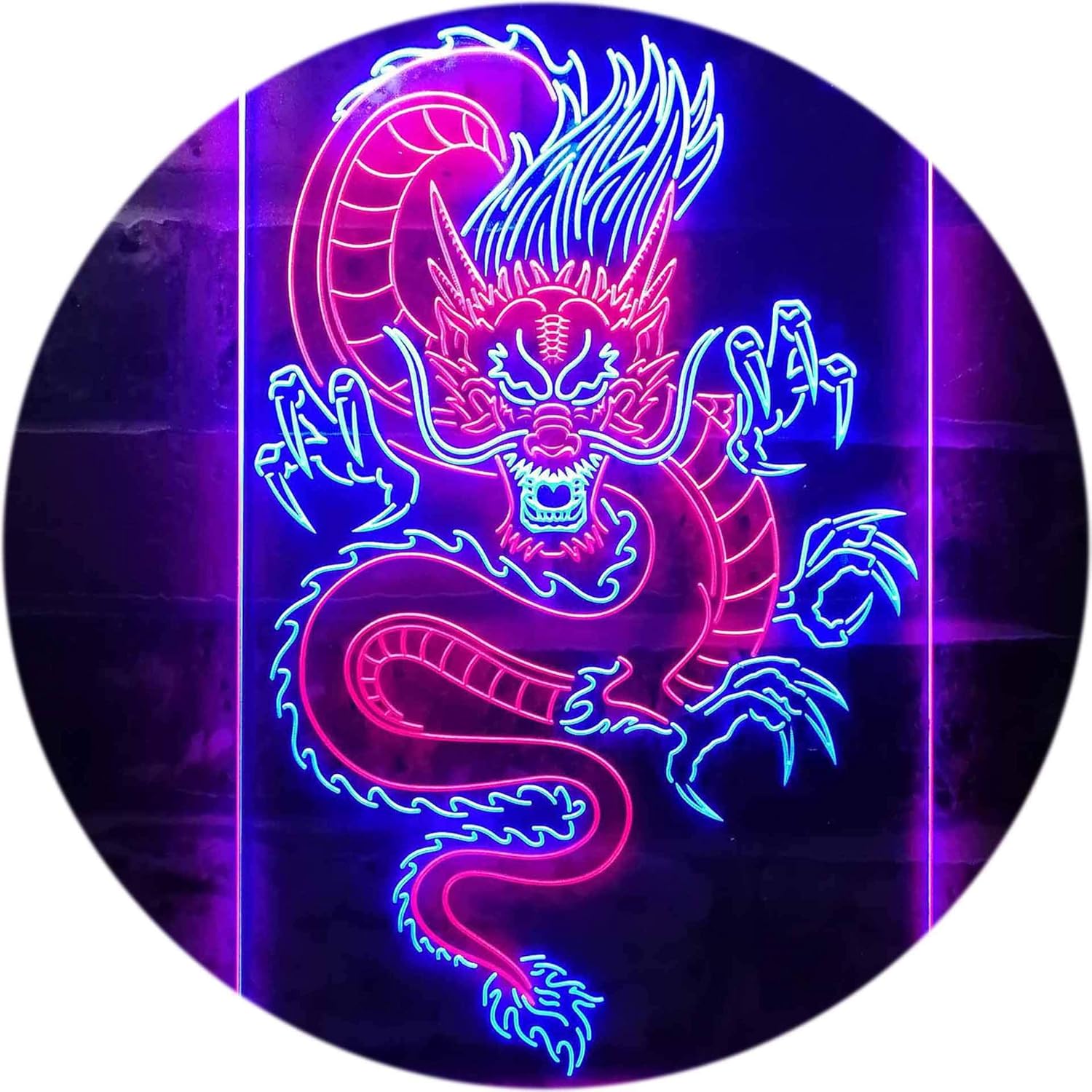 ADVPRO Chinese Dragon Room Display Dual Color LED Neon Sign Red & Blue 16" x 24" st6s46-i3225-rb