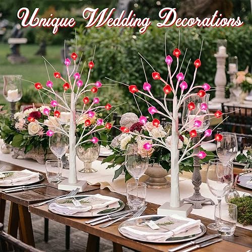 Miniatura 2 de Decoración para el día de San Valentín de 2 pies, 2 unidades de árbol de abedul iluminado de FastDeng con 12 corazones rojos y 12 rosas, 12 luces