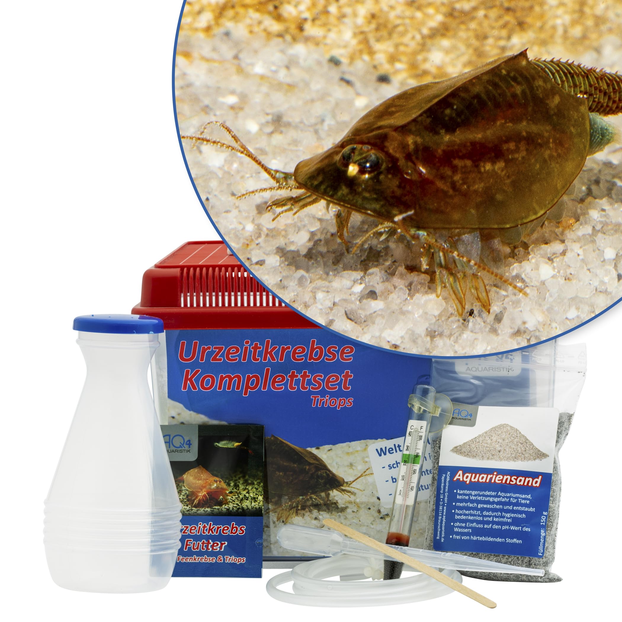 AQ4Aquaristik Triops cancriformis Starterset: Urzeitkrebse ca. 100 Eier, 2,5 l Aquarium, Zubehör, Futter und Anleitung