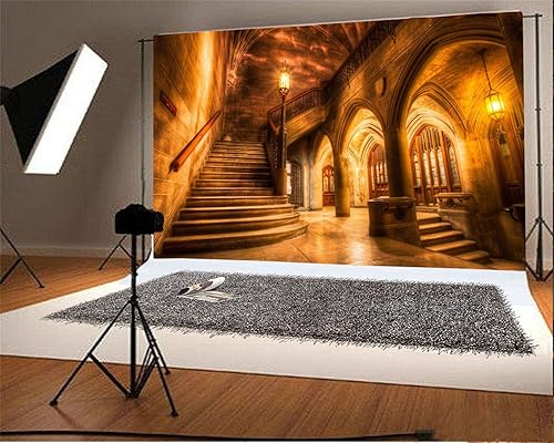 Miniatura 2 de AOFOTO Telón de fondo interior de castillo medieval vintage de 8 x 6 pies, columnas de arco retro, fondo de fotografía, escalera antigua, luz tenue,