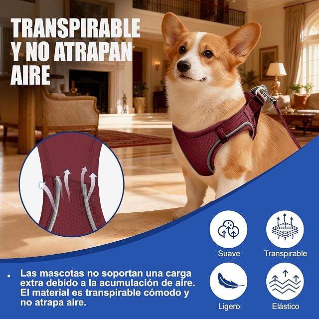 Foto 3 de 7 de Arnés para Gatos con Correa 255cm M (Pecho 42-51cm) Burdeos