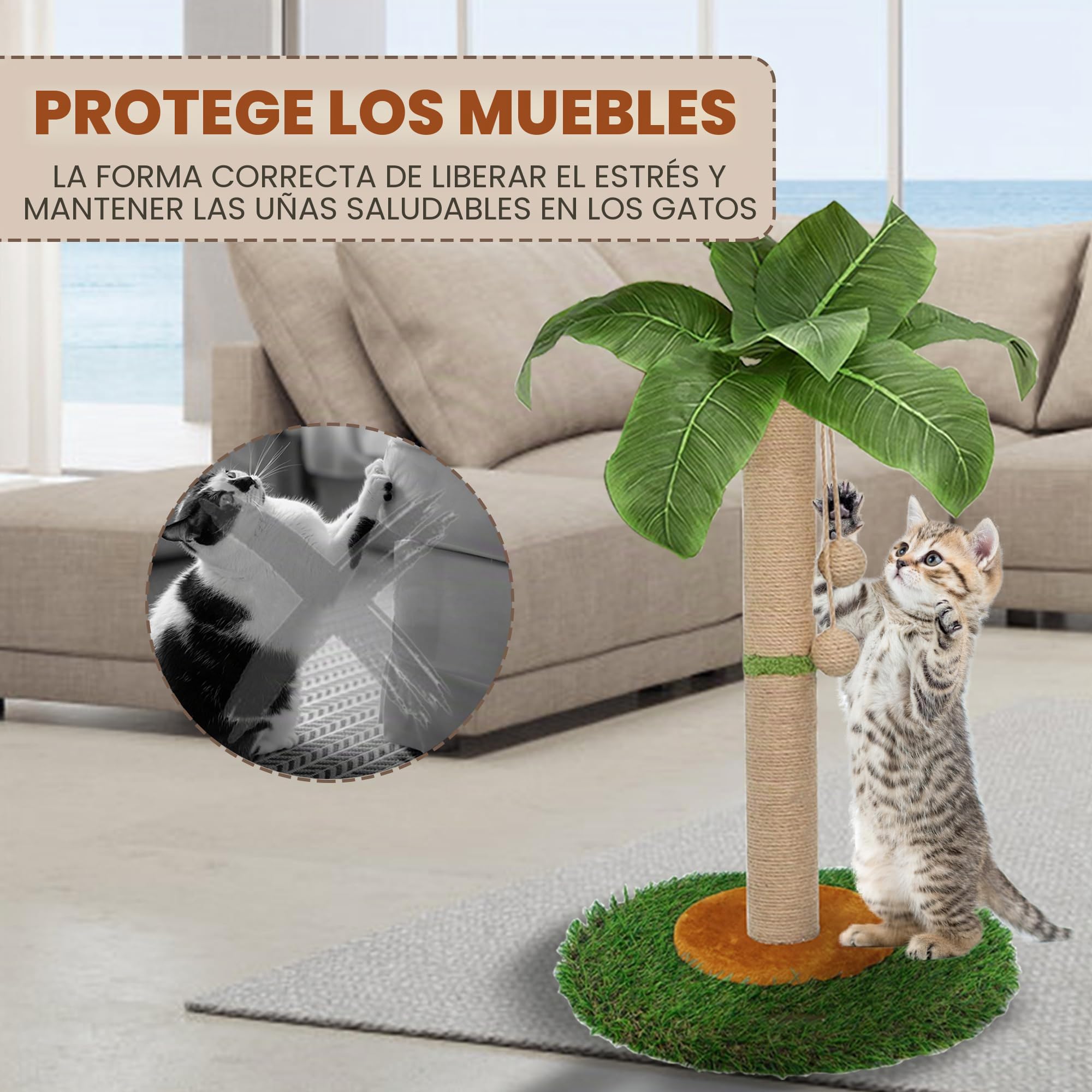 Poste rascador para gatos y gatitos de interior, poste rascador de 60 cm de alto con cuerda de sisal, poste rascador de palmera con bola colgante (60 cm)