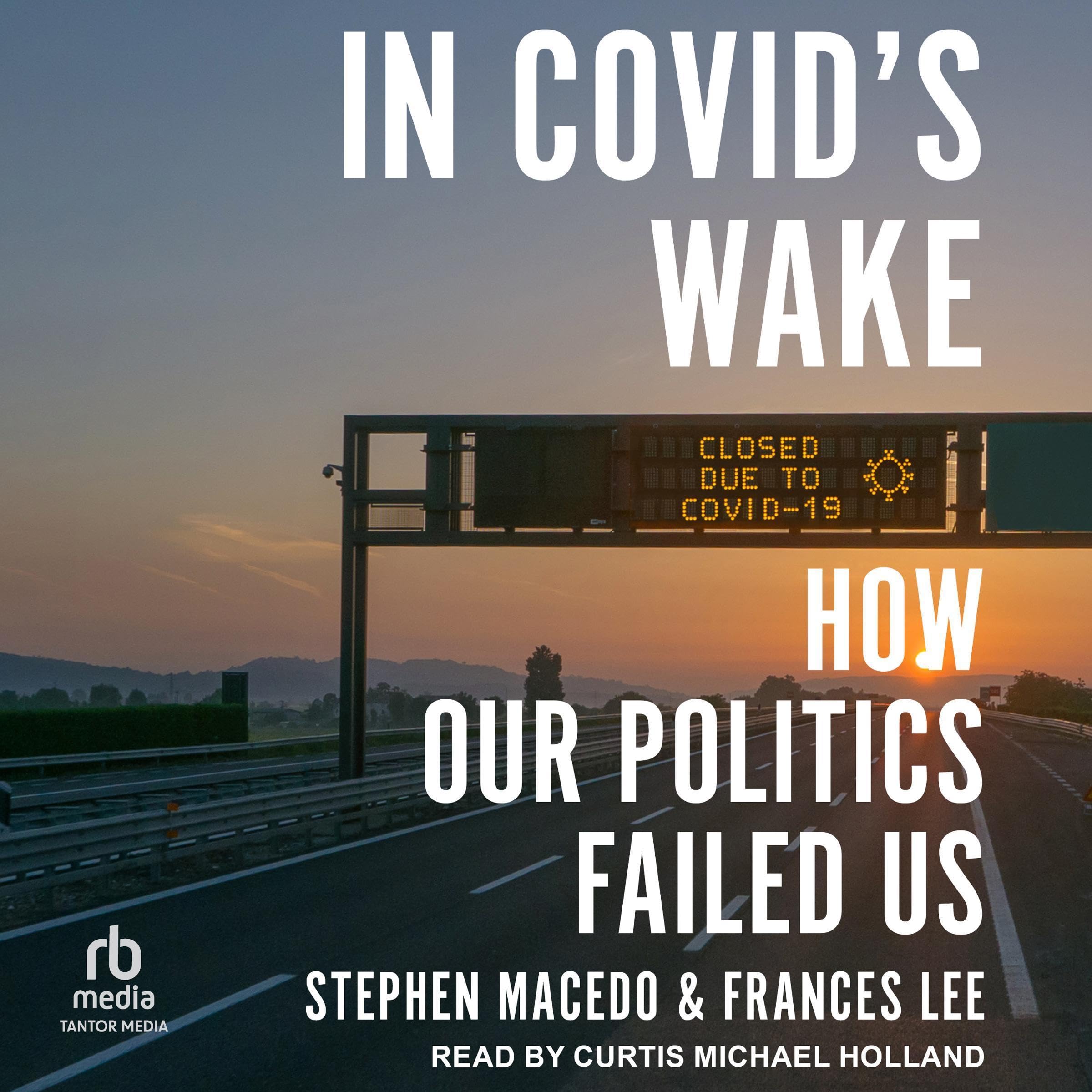 Cover art for In Covid's Wake