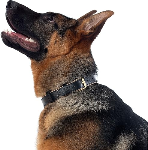 Miniatura 7 de Tanpie - collar clásico para perro de piel auténtica suave y transpirable, impermeable, para perros grandes y medianos pequeños