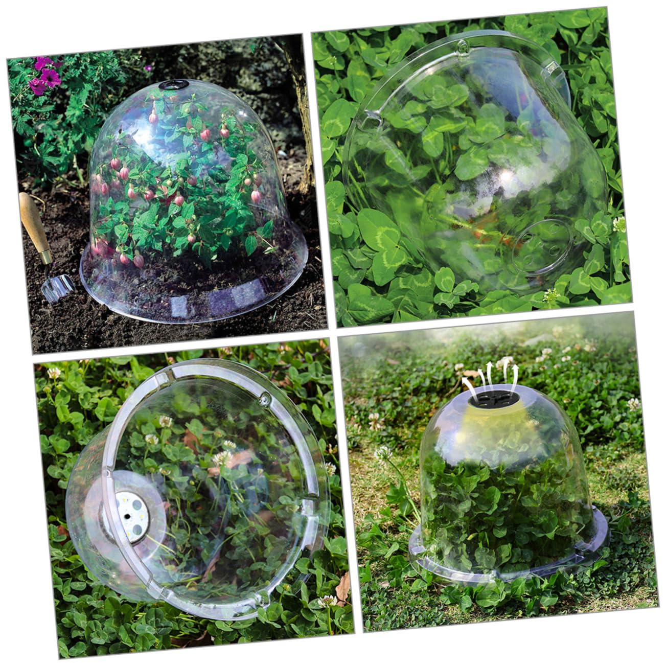 HANABASS 6 Pièces Cloche de Jardin Transparent pour Plantes Protection Gel et Humidité Couverture Domique pour Saine des Plantes pour Conditions Climatiques Variées