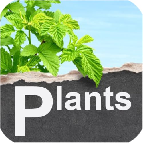 Plants Wallpapers