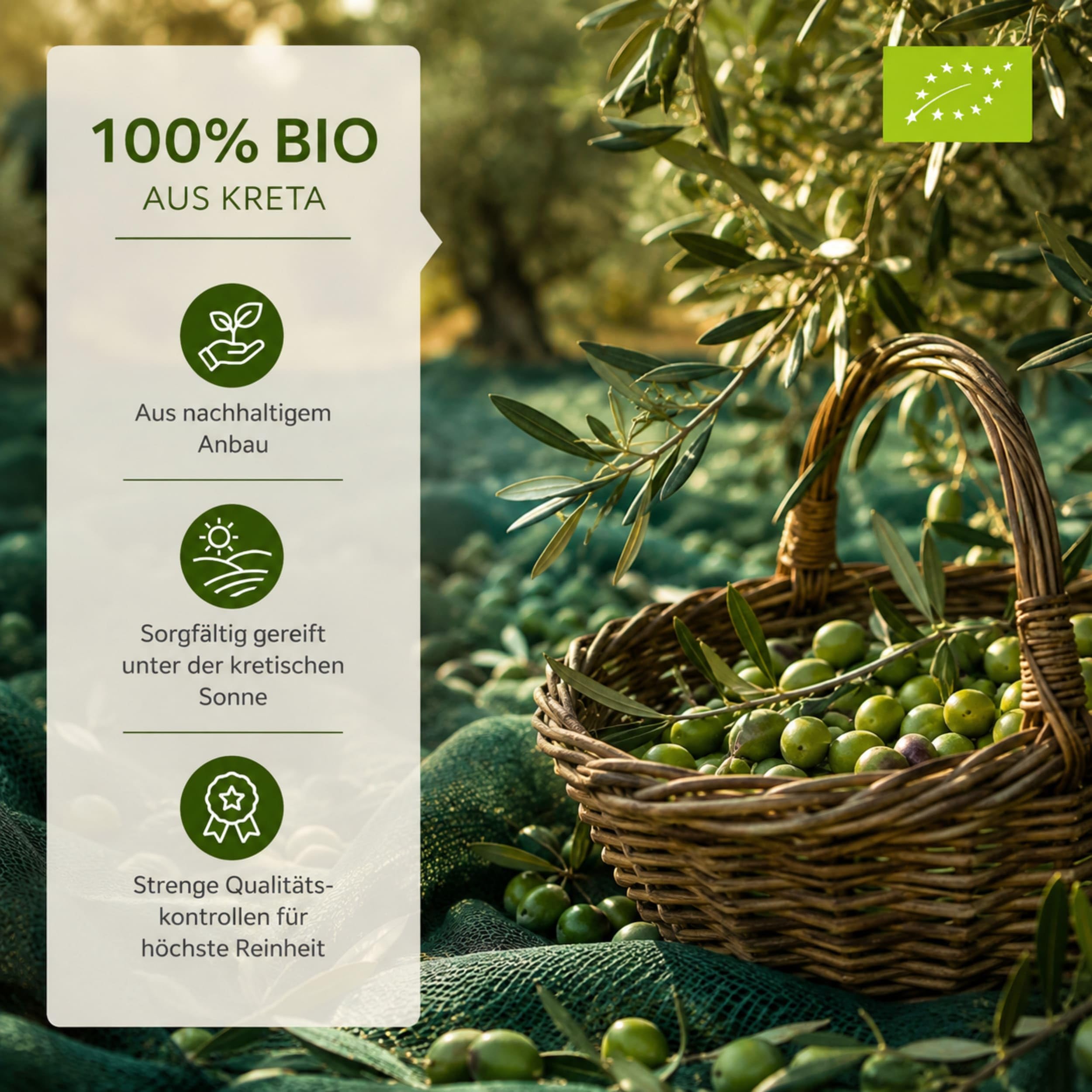 Oliwa z oliwek bio kanister 3 litrowy – Cretalèa – z Krety – świeże zbiory – tłoczony na zimno – ekstra natywny – Grecja – pierwsza klasa jakości
