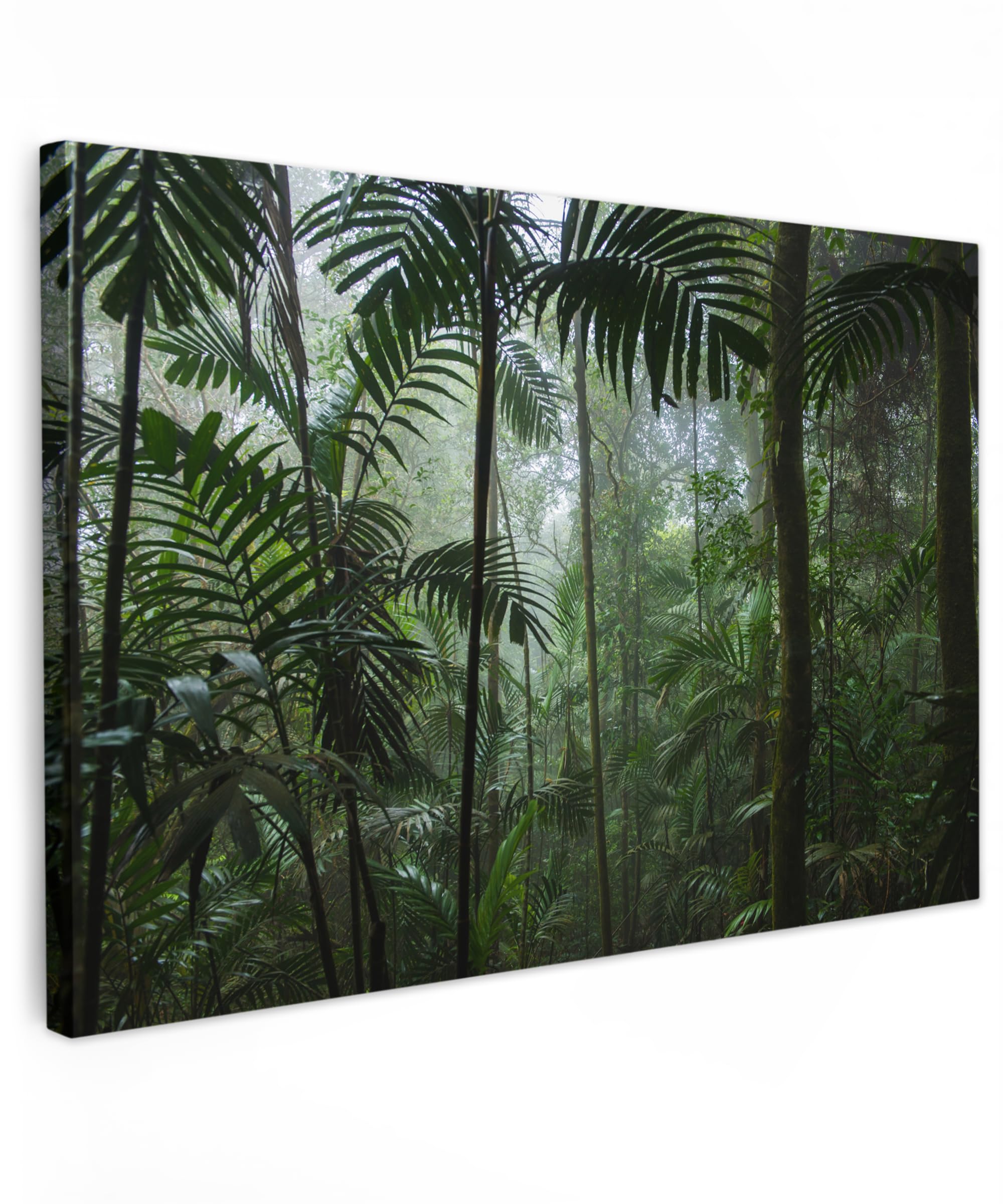 MuchoWow© Leinwand Bilder Groß 120x80 cm XXL Wanddeko Wohnzimmer Aesthetic Room Decor Deko Zimmer Wandbilder Modern Fotogeschenke Regenwald - Dschungel - Bäume - Pflanzen - Natur - Grün