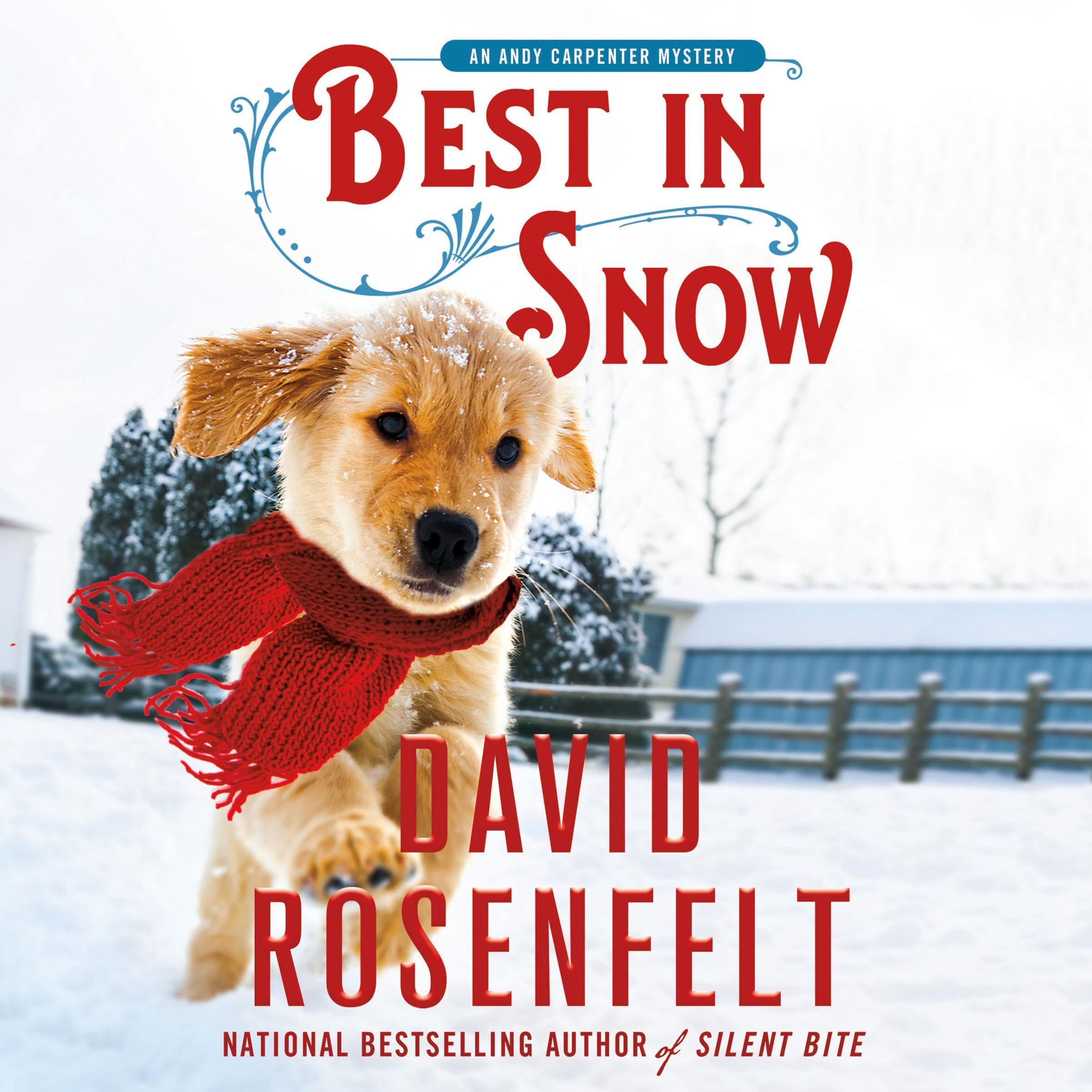 Cover art for Best in Snow