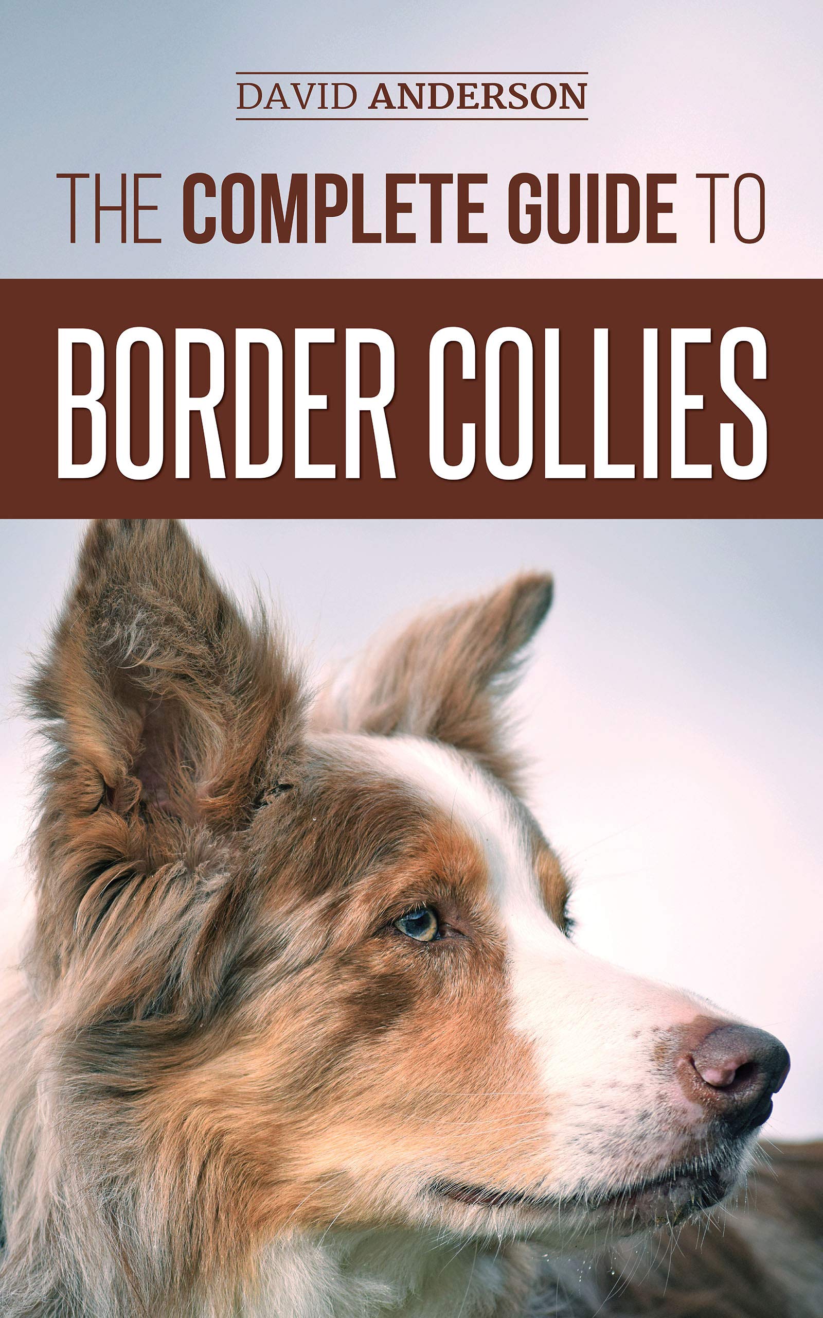 The Complete Guide to Border Collies: Training, teaching, feeding, raising, and loving your new Border Collie puppy