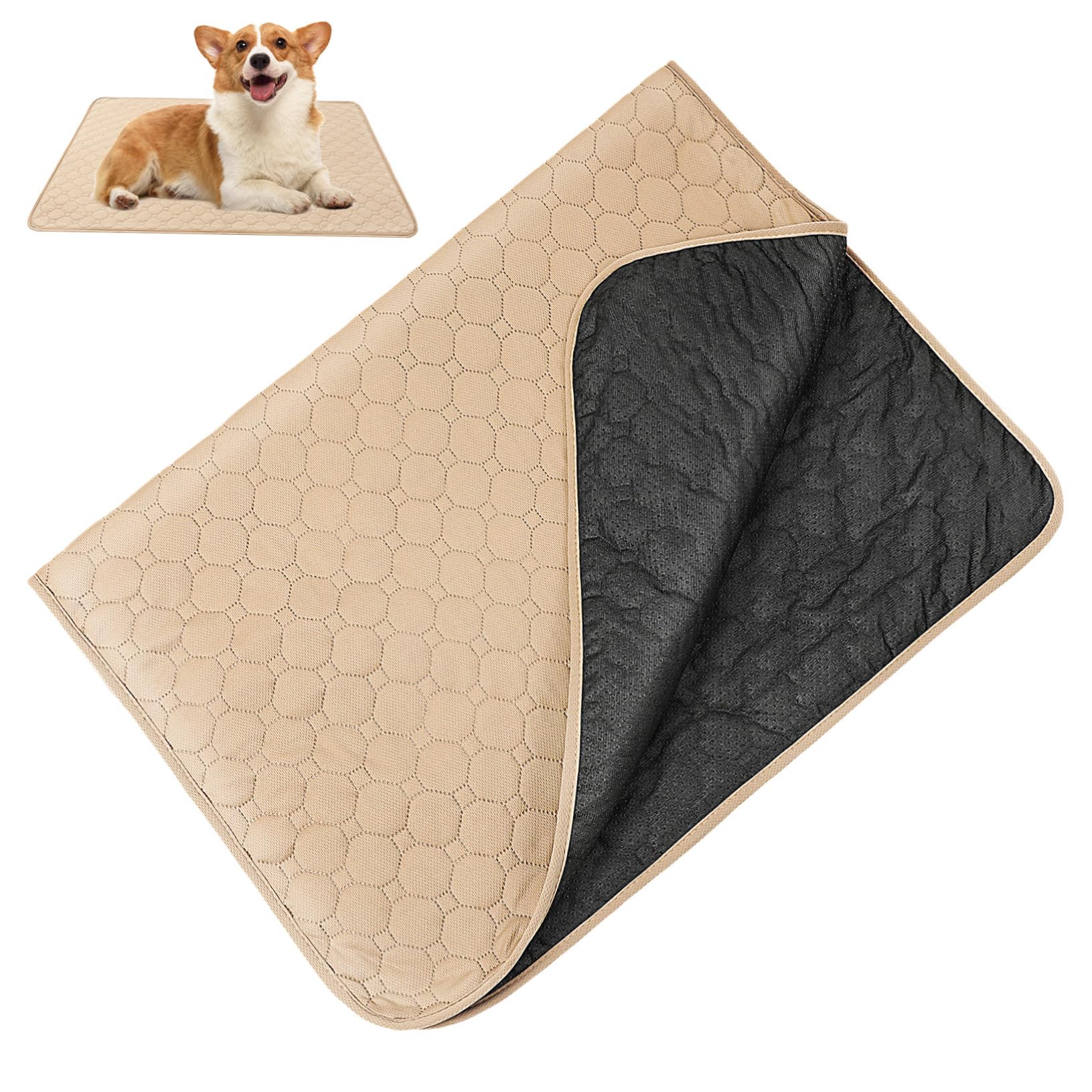 Toyvian 2piezas Almohadilla y Anti-orinar para Gatos de Material Absorbente para Entrenamiento de Baño Empapador Lavable para Perros Empapador para Camas de Mascotas Unidades