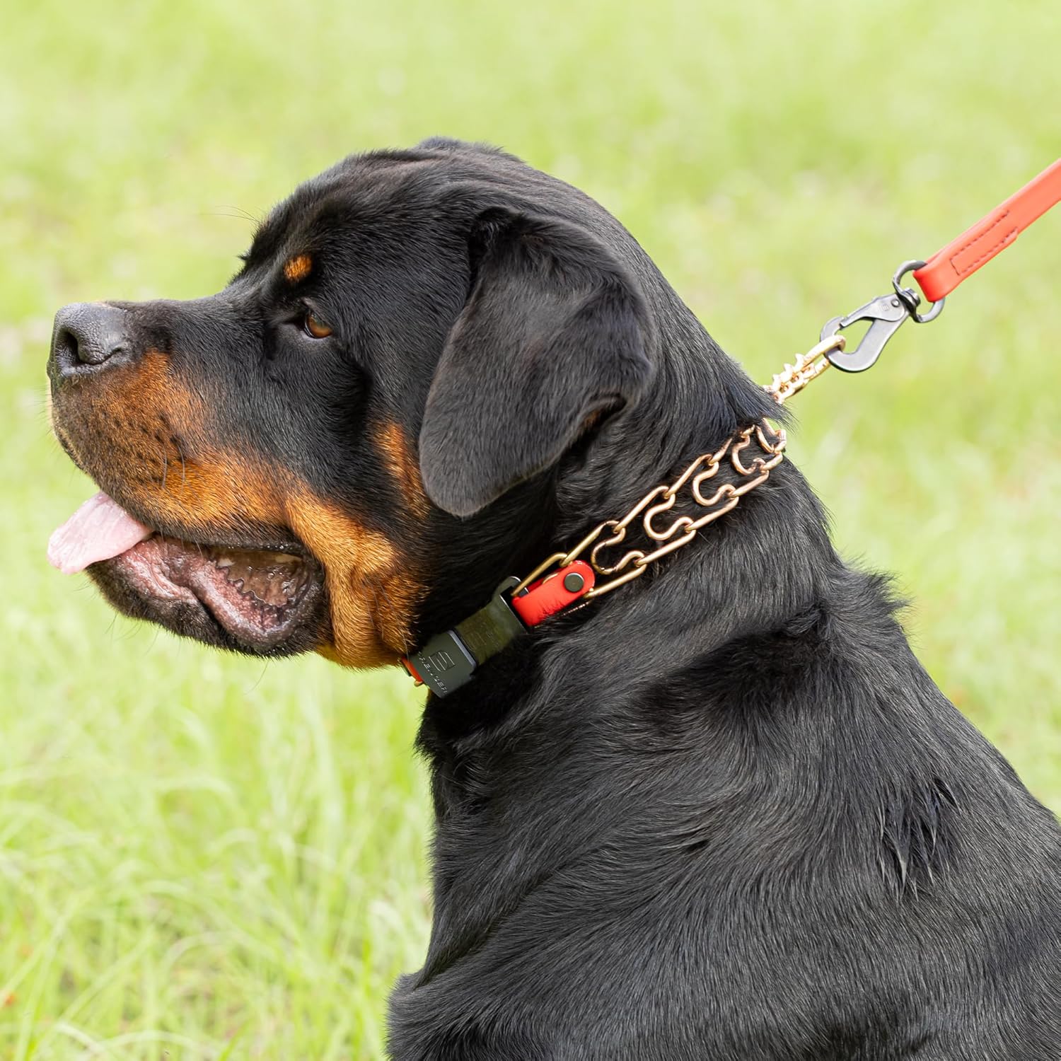 Herm Sprenger Curogan Dog Collar with Short Links and Quick Release ClicLock Buckle and Biothane Insert Made in Germany 20in x 3.0mm (Neck Size up to 16-17in) (Cherry Red)