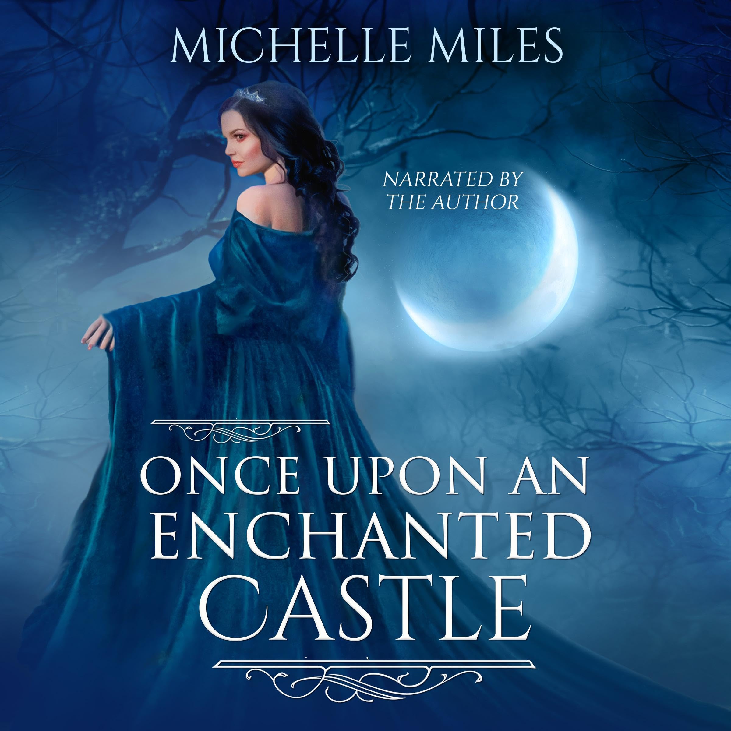 Cover art for Once Upon an Enchanted Castle