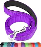 FunTags 6FT Black Reflective Dog Leash for Large & Medium Dogs Walking, Soft Padded Handle Comfortable Grip, Heavy Duty Nylon, Reflective for Night Walking, 1in Wide