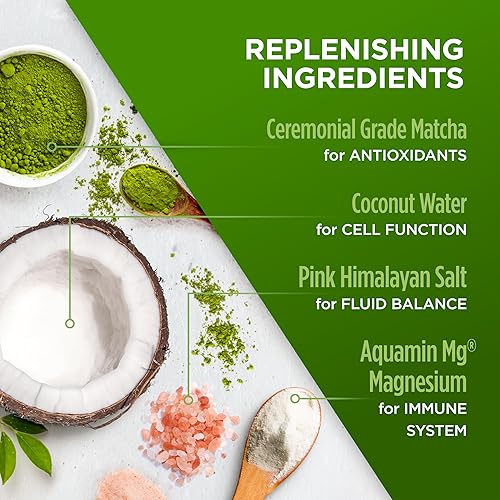 Miniatura 8 de VitaCup Instant Super H2O - Mezcla de bayas de 16 ct e hidratación Matcha 20ct