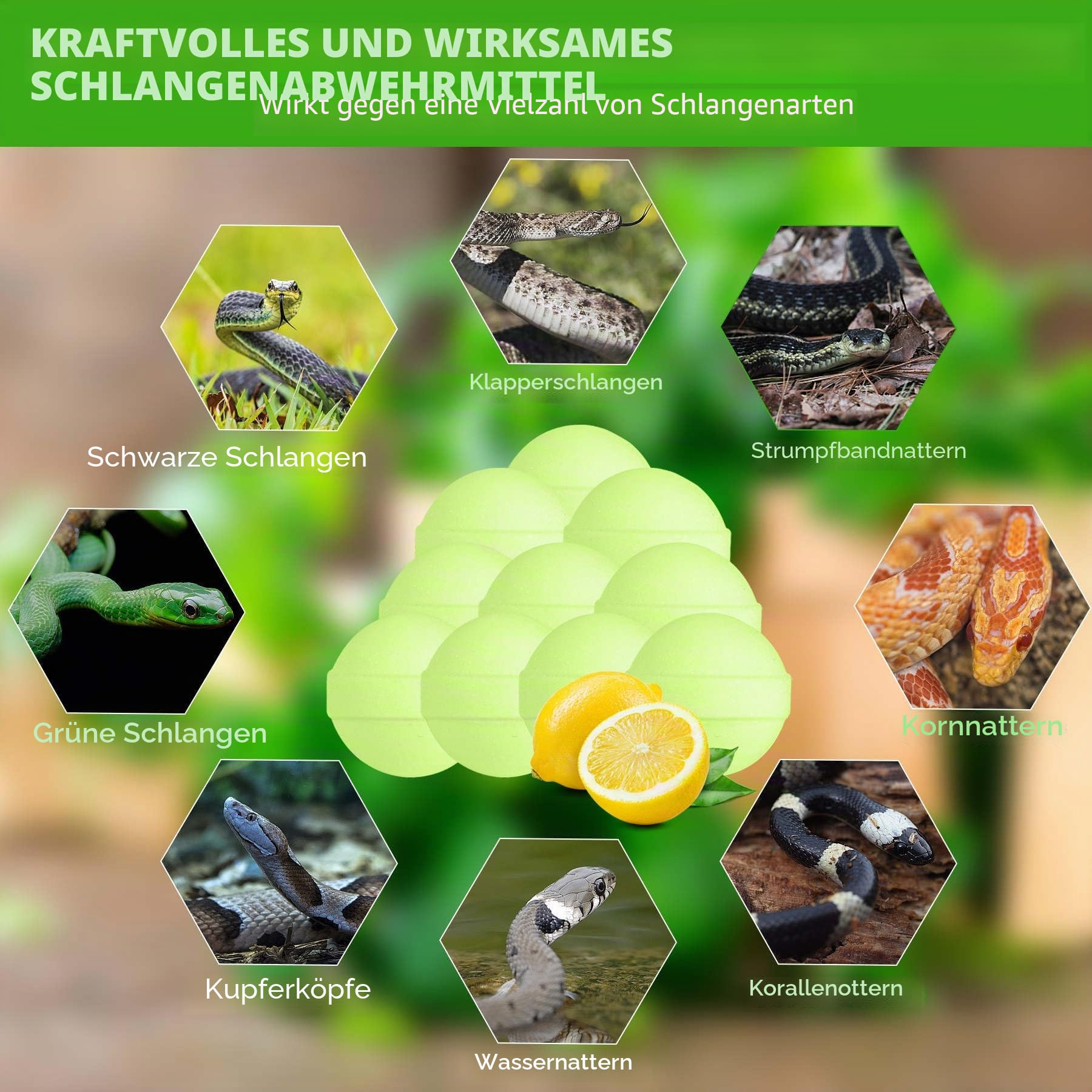 24 Stück Mäuseabwehr für Hof, natürliche Nagerabwehrbälle für draußen und drinnen, hält Schlangen, Eidechse und Nagetiere fern von Rasen, Hof, Garten, Camping, Angeln, Haustier sicher