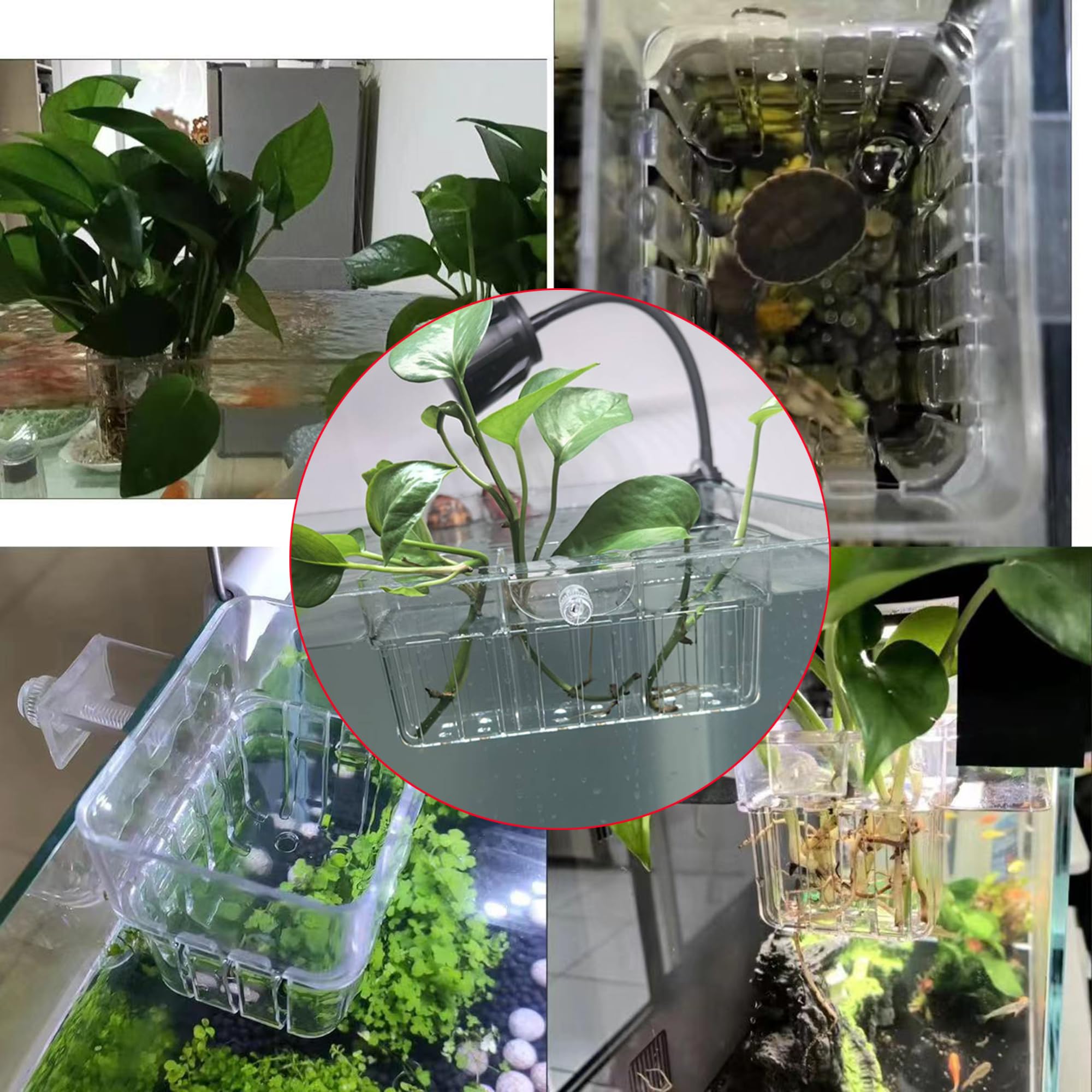 Lot de 2 supports de plantes d'aquarium à 3 cellules, support pour plantes d'aquarium, pot de fleurs suspendu pour aquarium, aquarium, décoration d'aquarium