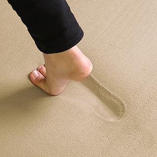 フリーリー ラグ 低反発ラグ 極厚25mm 200×250cm 抗菌・防ダニ加工 厚手 ラグマット カーペット オールシーズン 滑り止め付 マイクロファイバー サイズ (L無地・ベージュ)