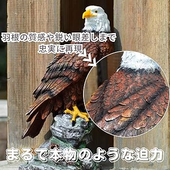 Amazon.co.jp: Quikaboo 鷲 置物 防鳥 鳥よけ オブジェ 庭用