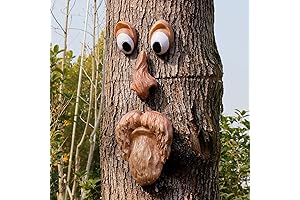 Face Ficus Tree Decor Outdoor, Extra Large Tree Faces