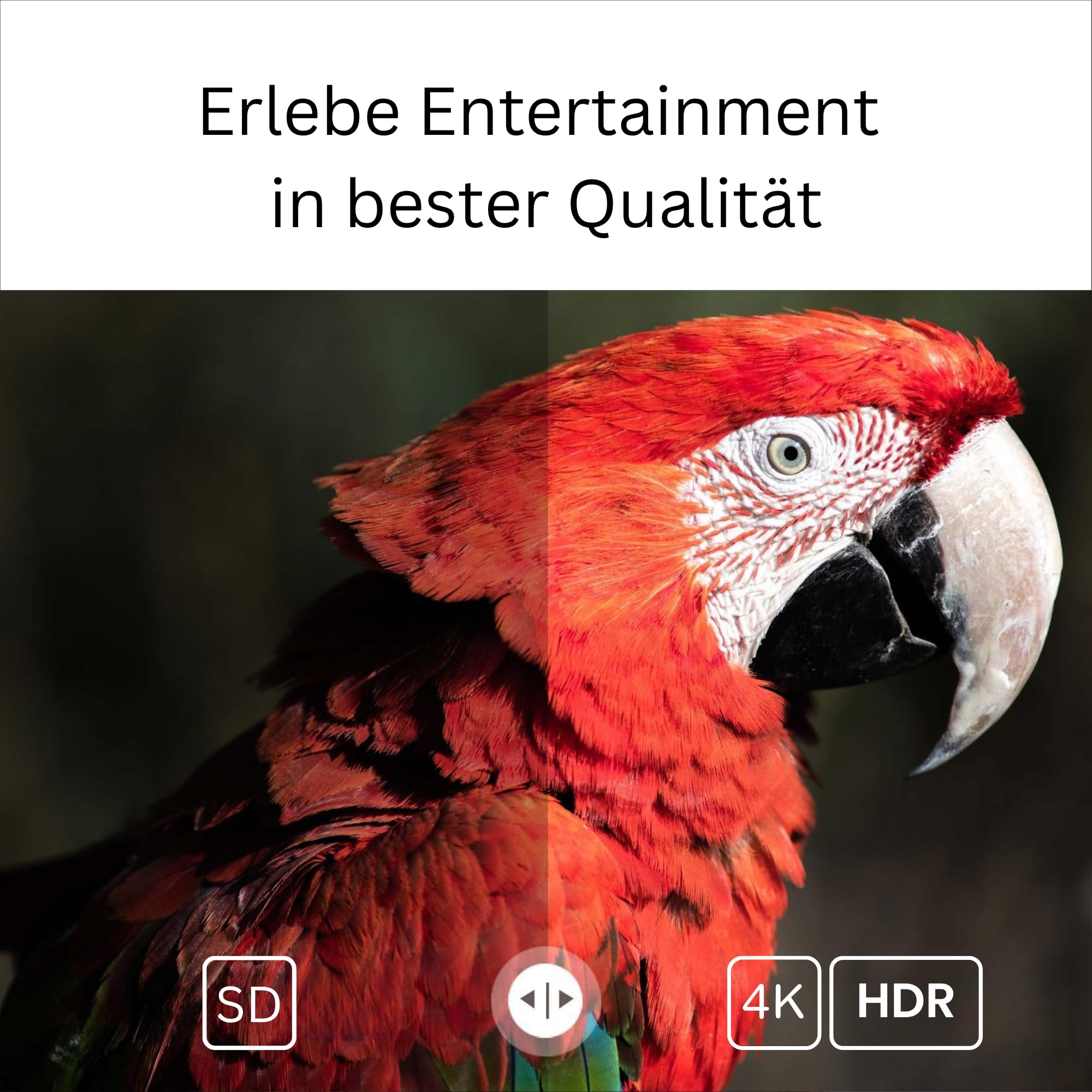 GD2 4K Streaming Box - Google TV Smart Mediaplayer, Unterstützt Netflix & Prime in 4K, AV1, HDR10+, LAN, 2X USB, Dualband WiFi, Sprachsteuerung