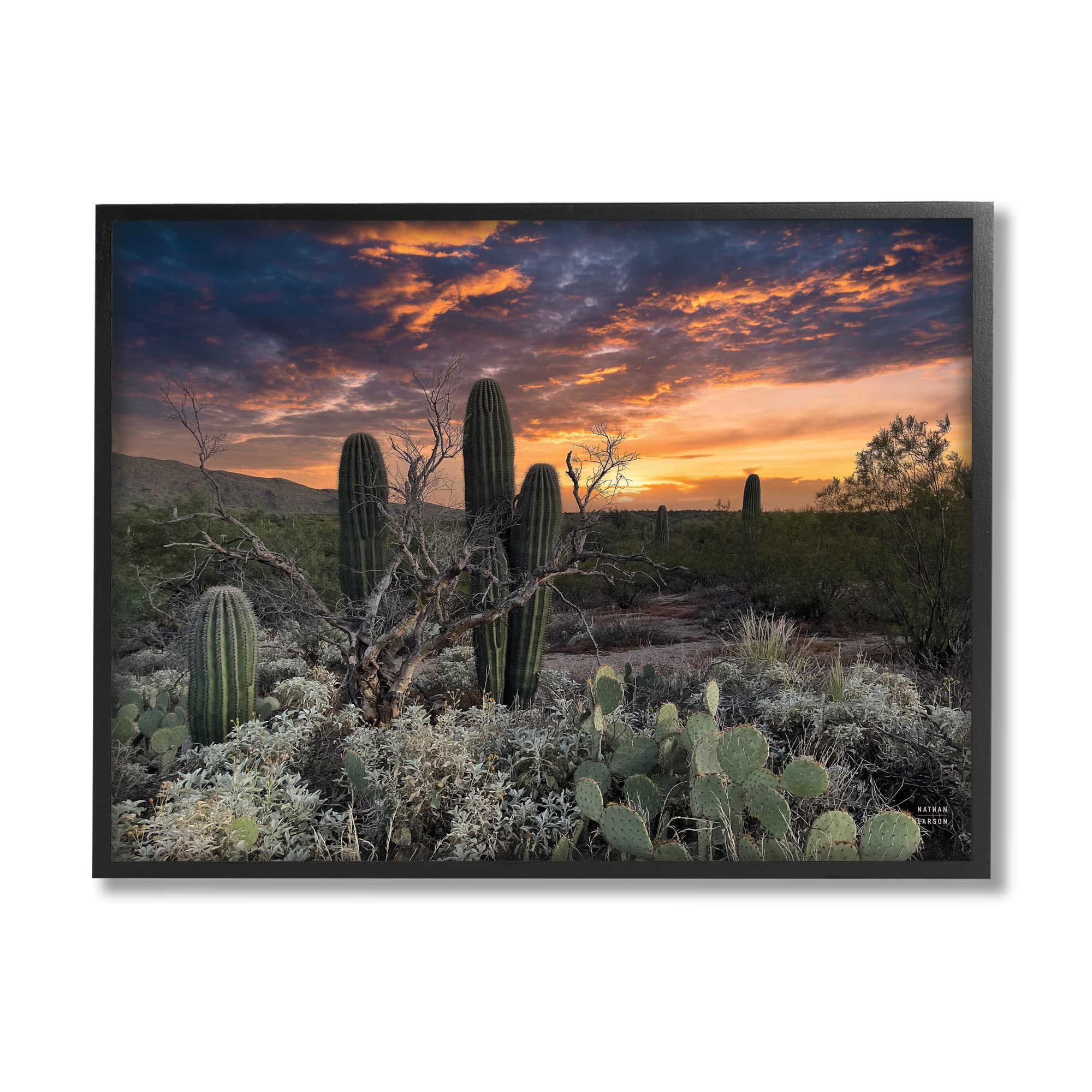 Stupell Industries Arid Desert Cactus Sunset Framed Wall Art, Design by Nathan Larson