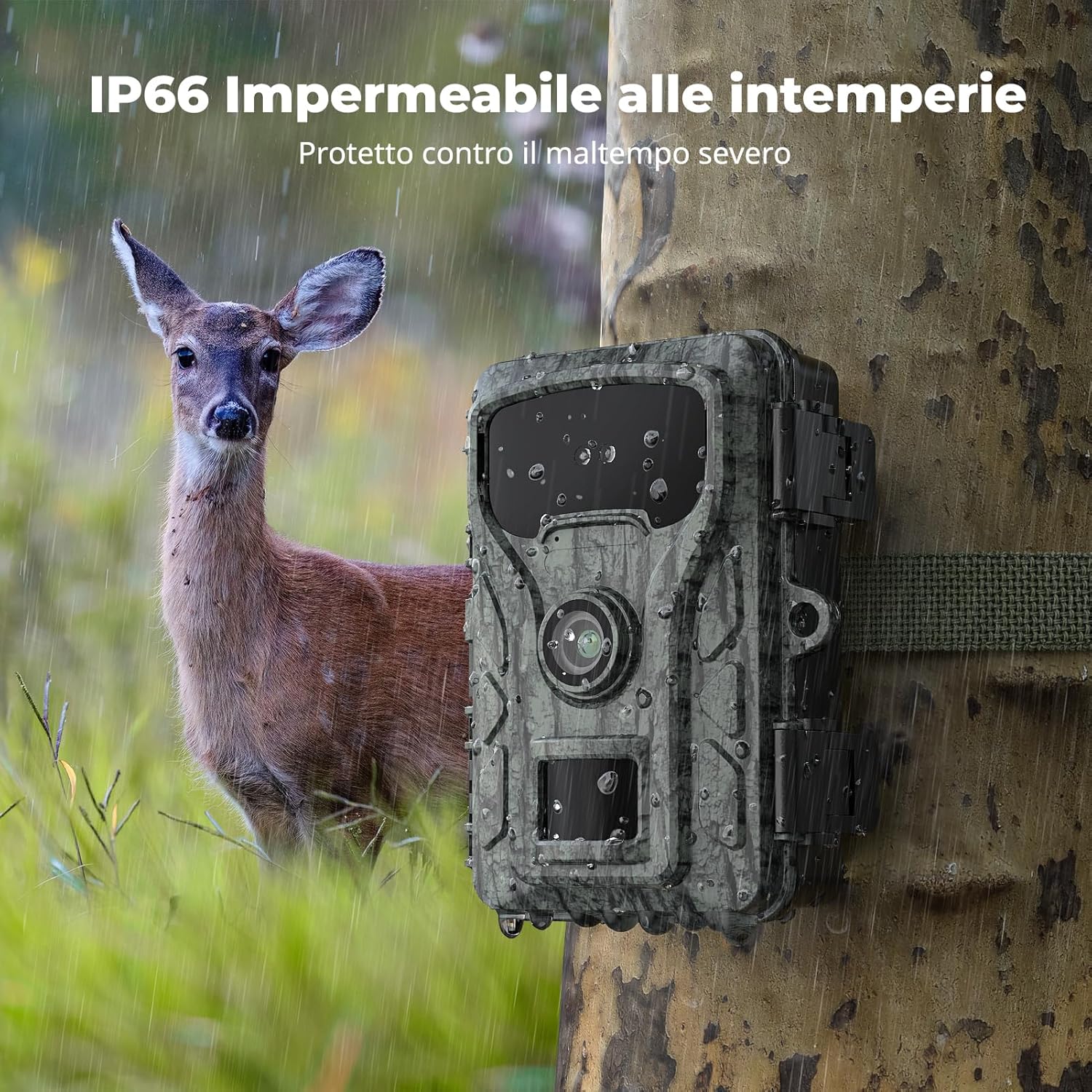 Caytail RF06 Wildlife Camera in the rain, highlighting its IP66 weatherproof rating.
