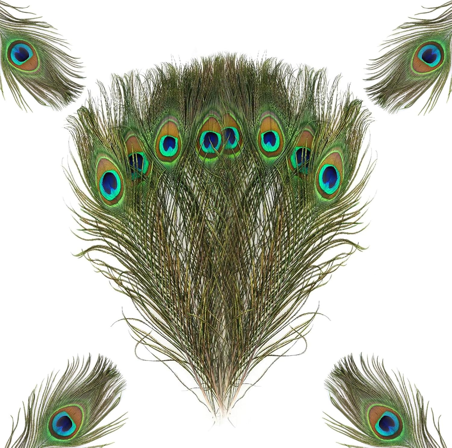 Peacock Feathers, 15Pcs Peacock Feathers Long Natural Large Peacock Eye