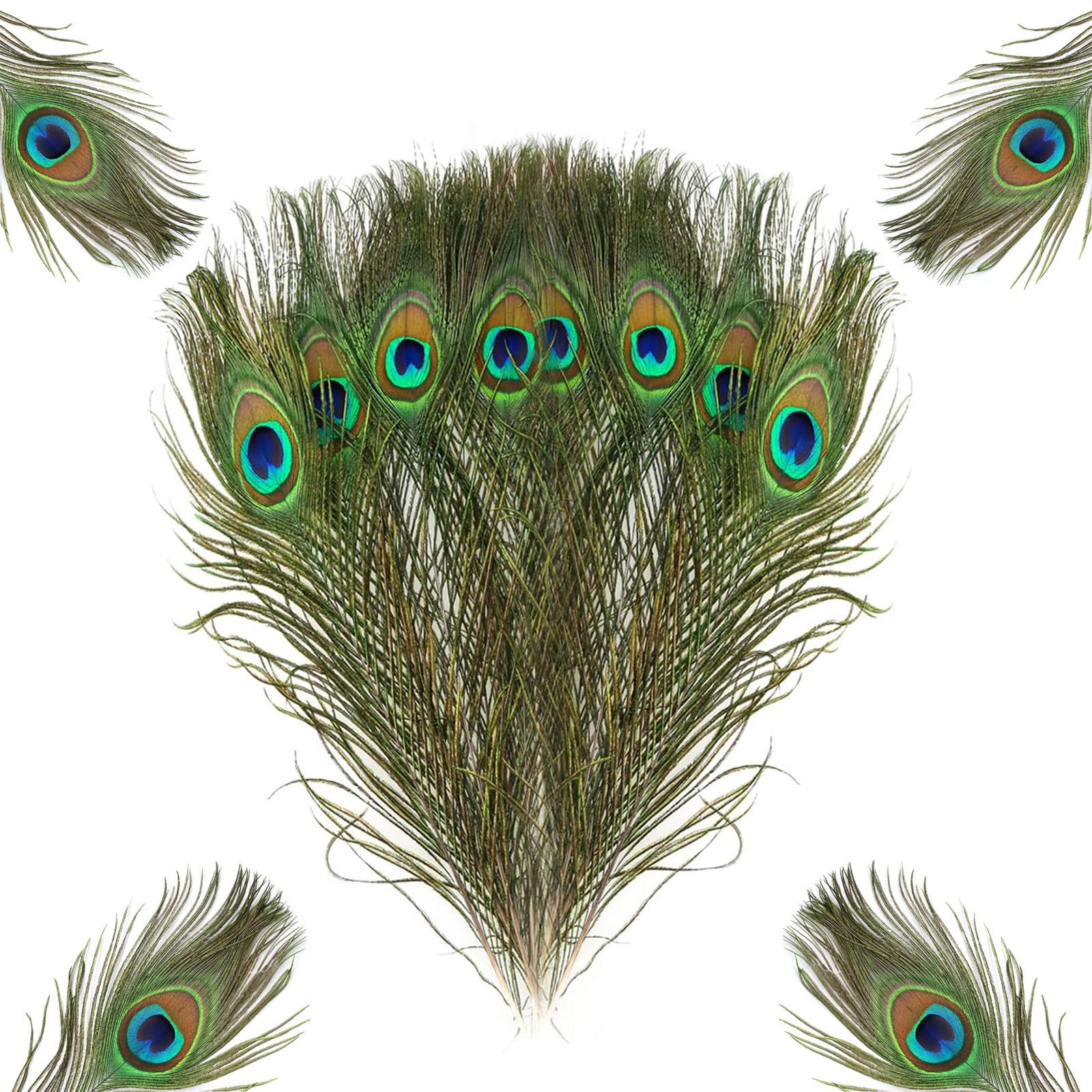 Peacock Feathers, 15Pcs Peacock Feathers Long Natural Large Peacock Eye Feathers, 25-130 Cm Peacock Tail Feather for Carnival Revelry Masquerade Costume Wedding Vase Christmas Party DIY Art & Craft