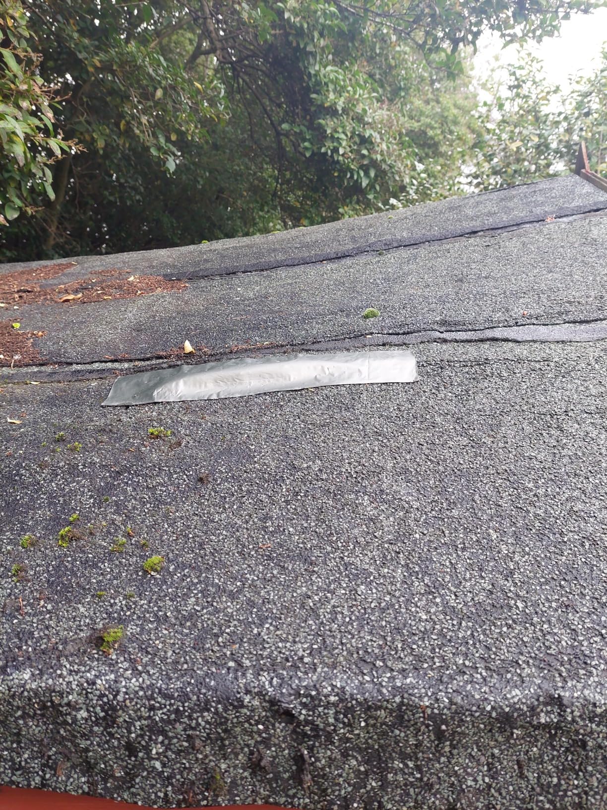 Global SelfAdhesive Roof Flashing Tape (10m) for Roof Repair, Gutter