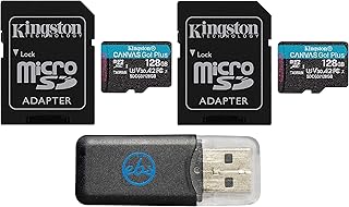 Kingston 128GB MicroSD Canvas Go Plus Memory Card (2 Pack) with Adapter Works with GoPro Hero 10 (Hero10) Class 10, SDXC (SDCG3/128GB) Bundle with (1) Everything But Stromboli MicroSD Card Reader