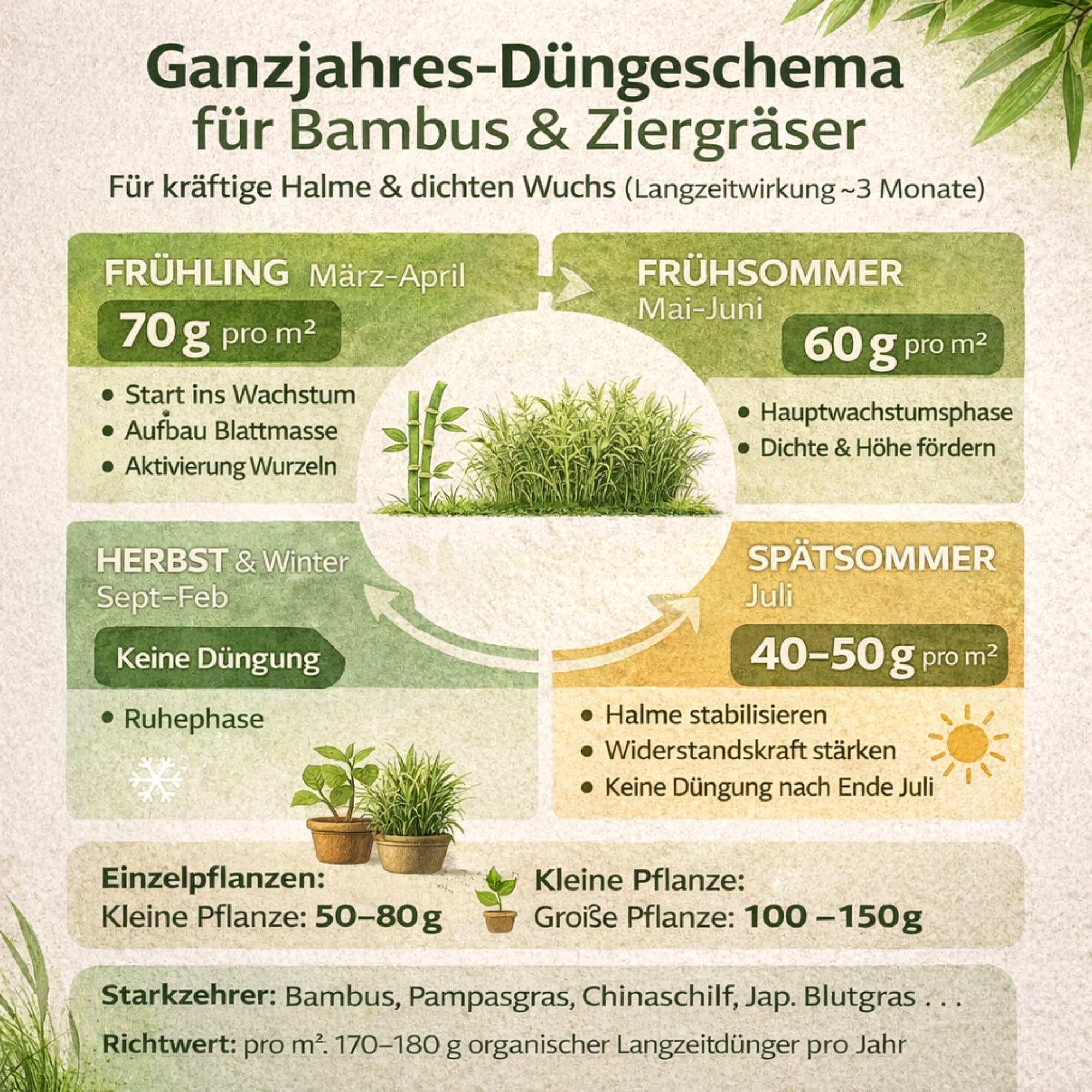Bambusdünger für sichtbar dichteren Sichtschutz – auch für Ziergräser – 7-3-8 + Eisen, 3 Monate Langzeitwirkung – 20 Kg