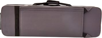 Stentor 1550 4/4 Violin