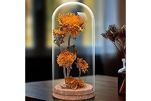 Forever Flowers Preserved Sunflower in Glass Dome: A Timeless Gift of Nature