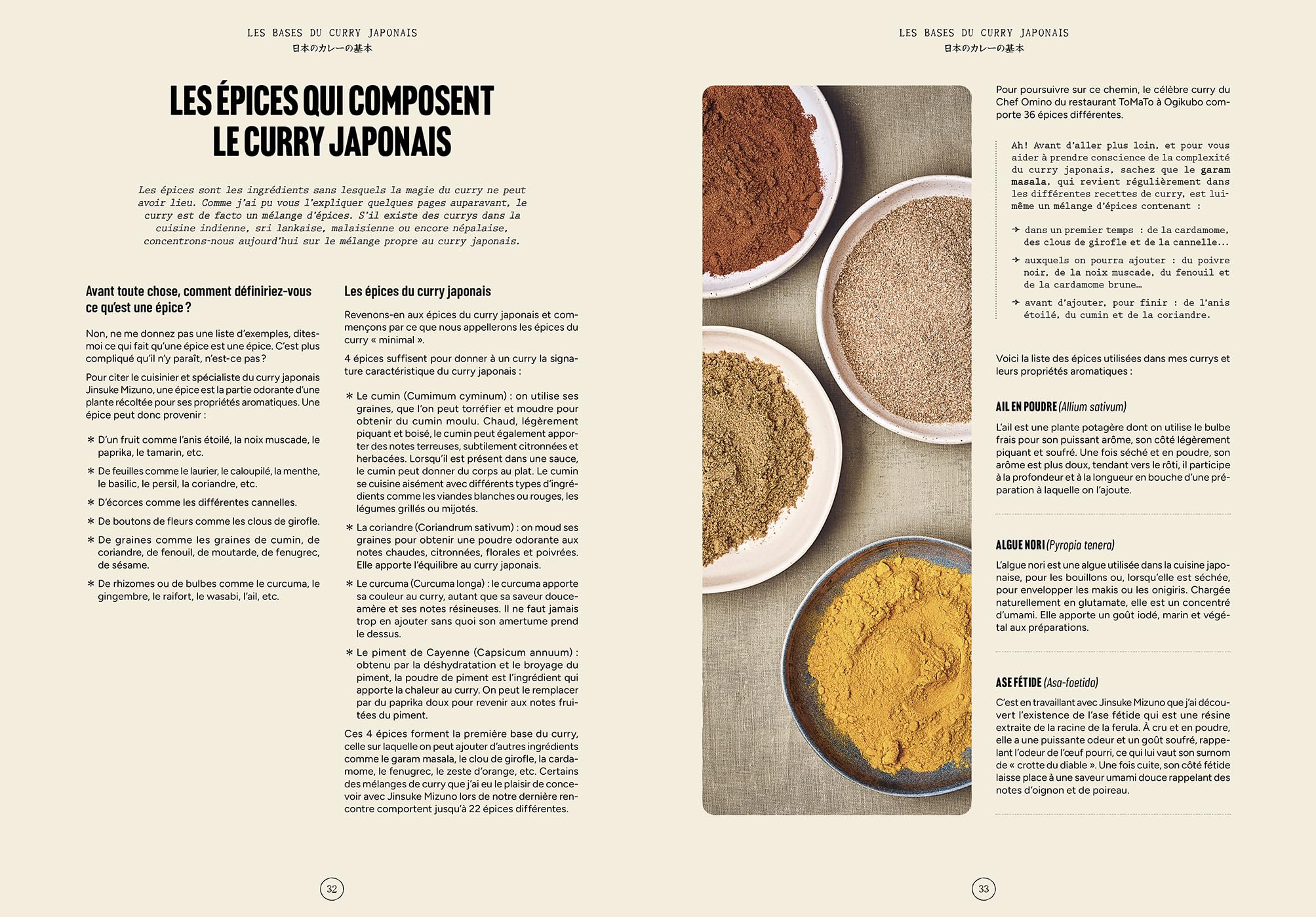 Le grand livre du curry japonais: L'histoire du curry japonais en 35 recettes