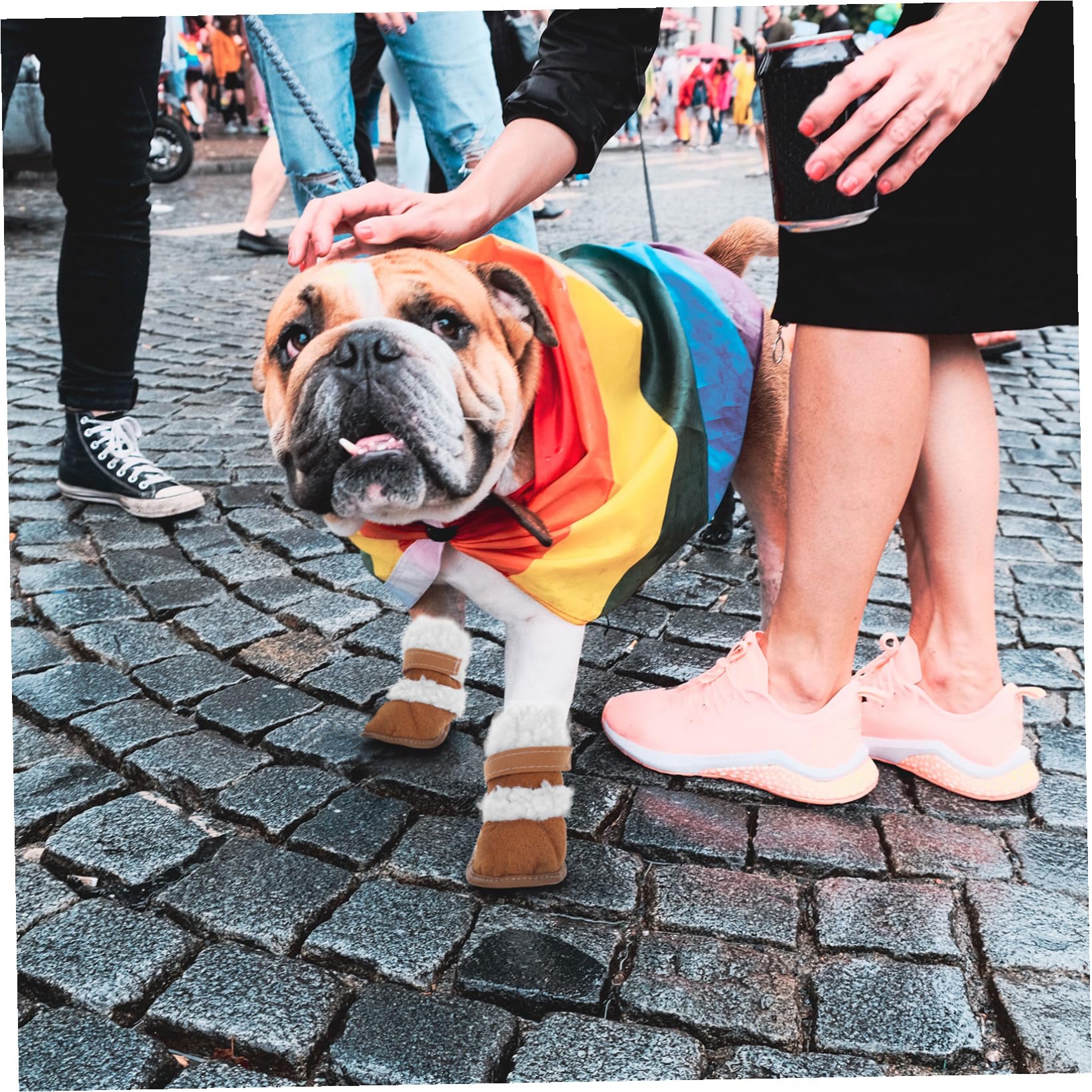 Kisangel 6paare Puppy Boots wasserdichte Und rutschfeste Winterstiefel Für Hunde Teiliges Idealer Pfotenschutz Für Kalte Tage Passend Für Kleine Und Mittelgroße Hunde