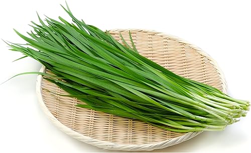 Miniatura 2 de TKE Farms & Gardens - Semillas de cebollino de ajo para plantar, 0.04 oz, 250 semillas de reliquia, sin OMG, el paquete incluye instrucciones para