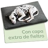 Ver la foto 1