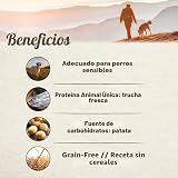 Ver la foto 4