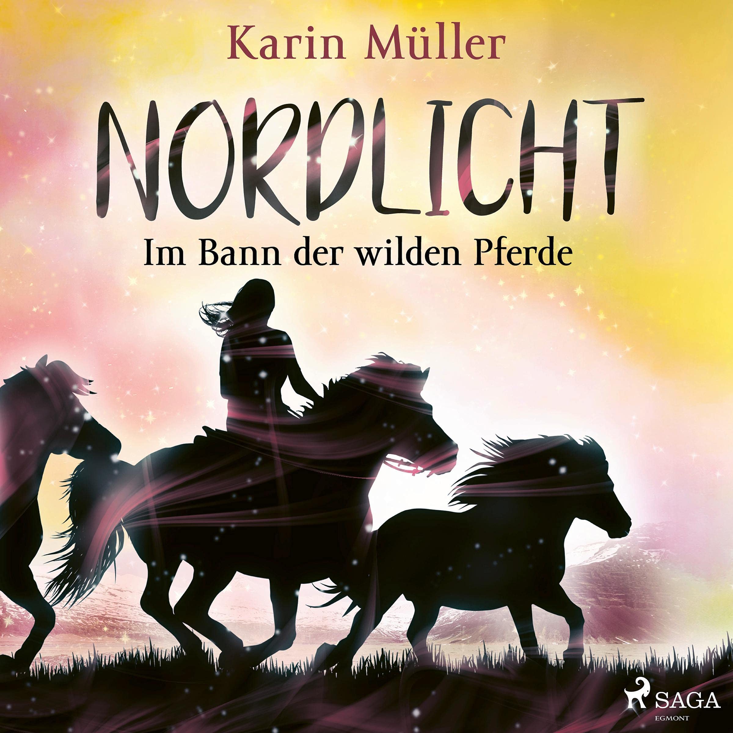 Cover art for Im Bann der wilden Pferde