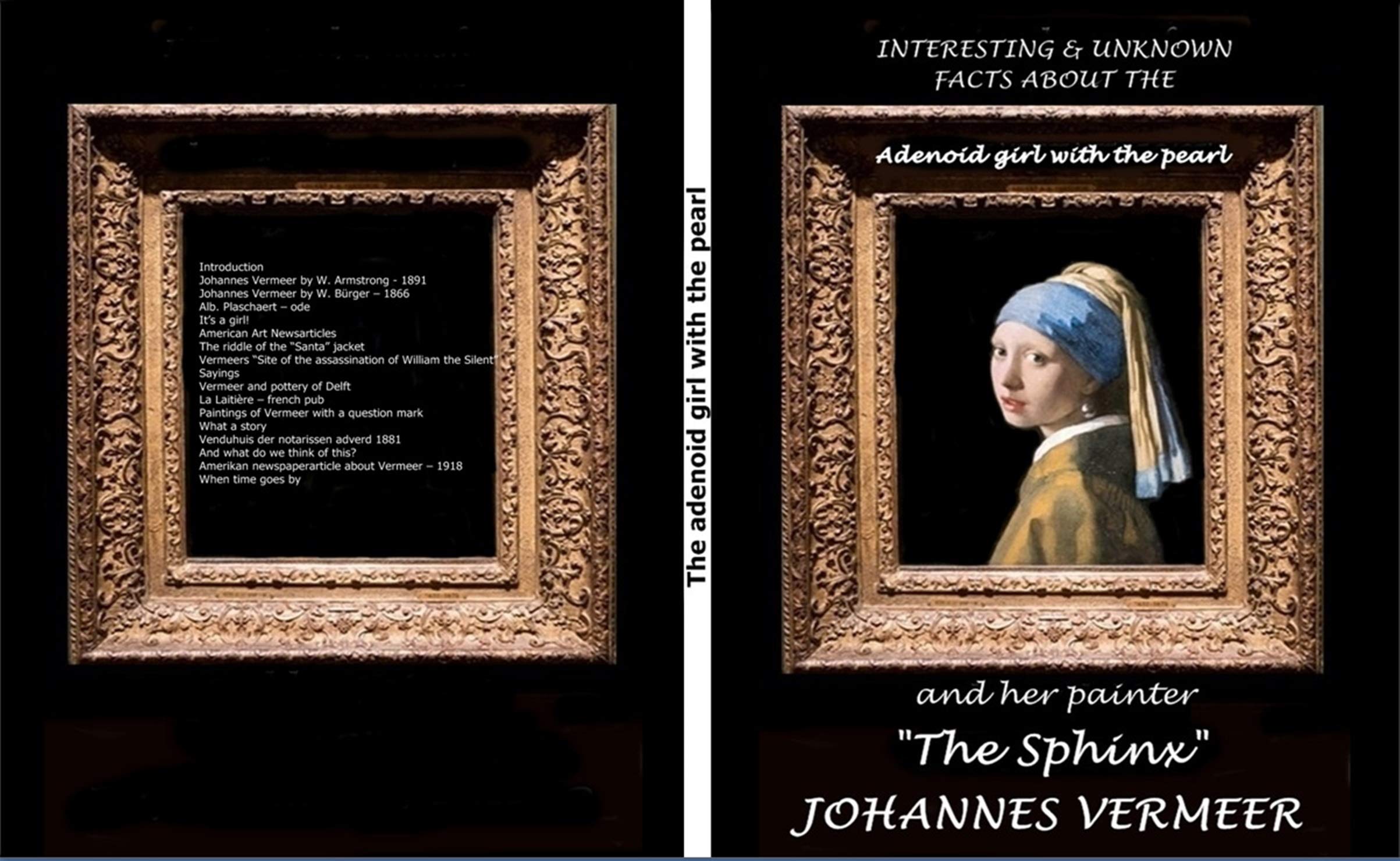 Livre Johannes Vermeer : secrets cachés sur la jeune fille à la perle
