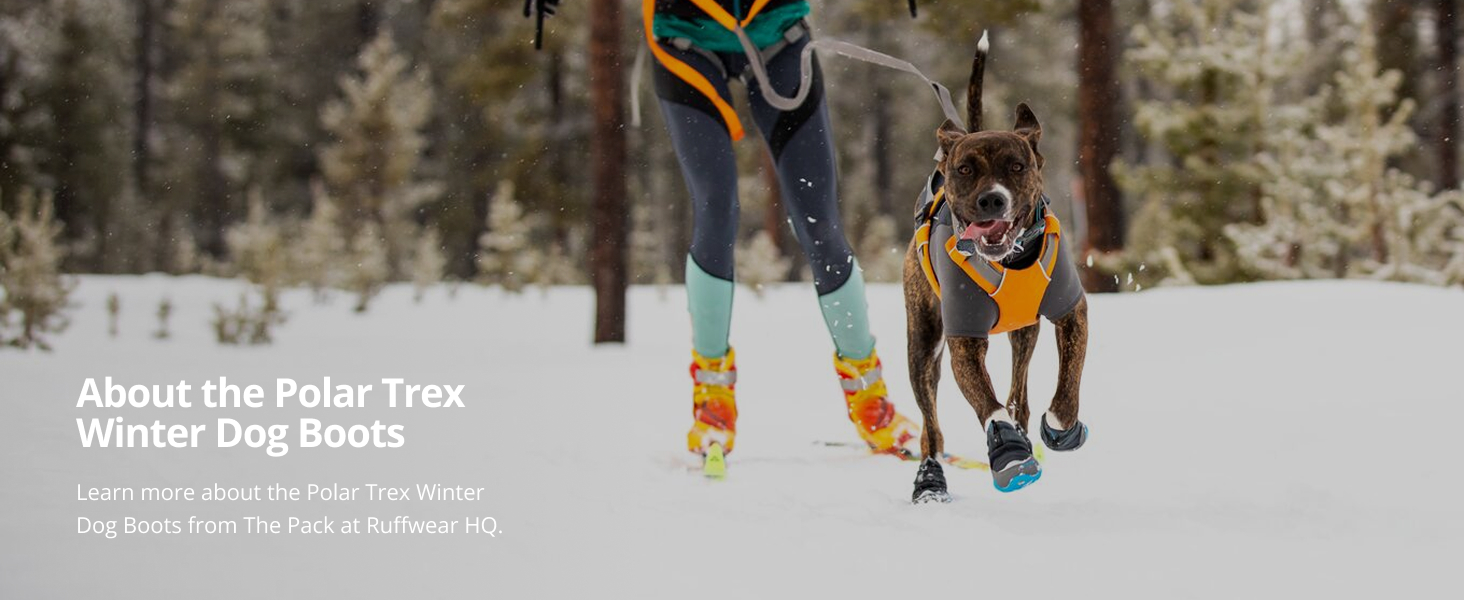 Amazon.com : Ruffwear, Polar Trex Dog Boots, Ultimate Winter Paw